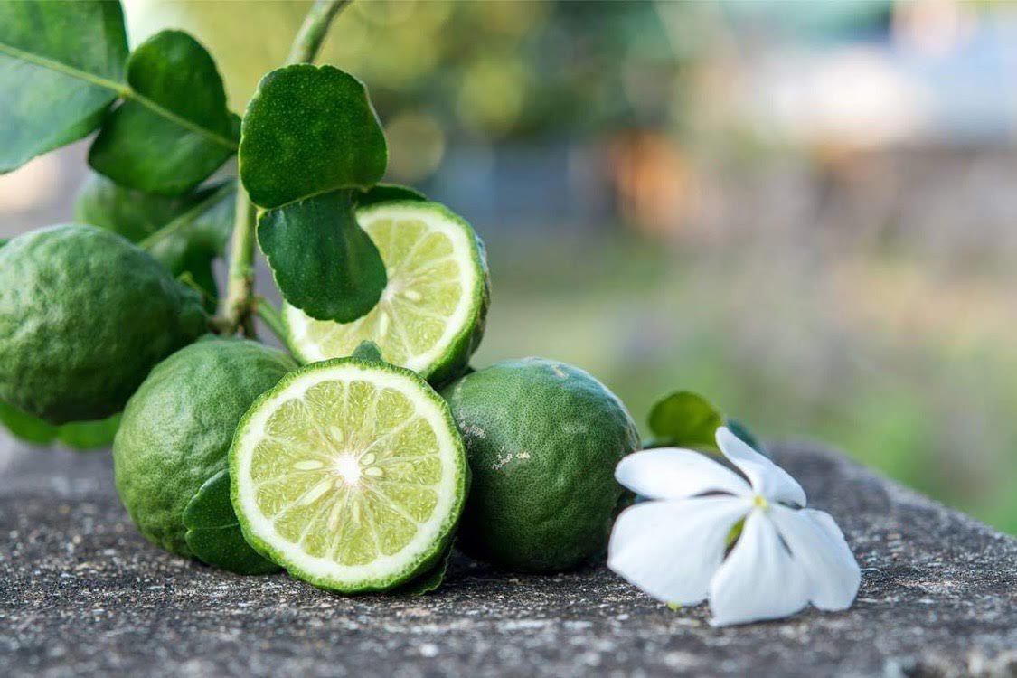 Ambra Calabria – уловено лято от Nishane