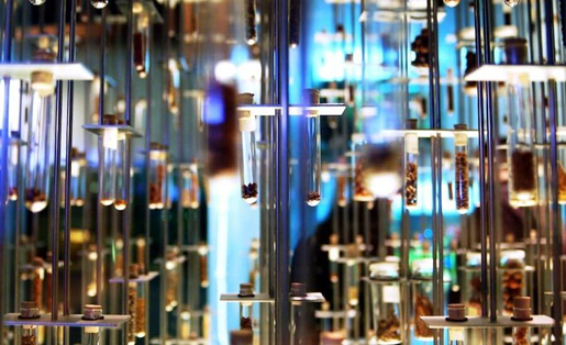 5 факта за създаването на парфюми, с които вероятно не сте запознати