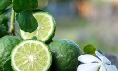 Ambra Calabria – уловено лято от Nishane