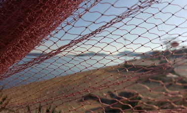 На слънце, в облаци и вятър - 5 съвета как да (не) използвате парфюм през лятото