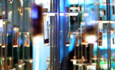 5 факта за създаването на парфюми, с които вероятно не сте запознати