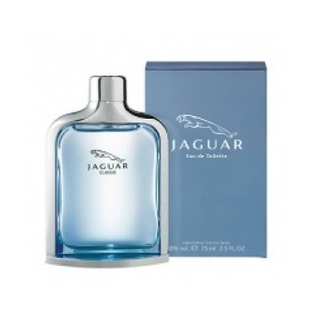 Jaguar Jaguar New Classic - изглед 2
