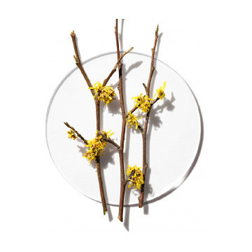 Clinique Clinique Clarifying Lotion 1 - изглед 3