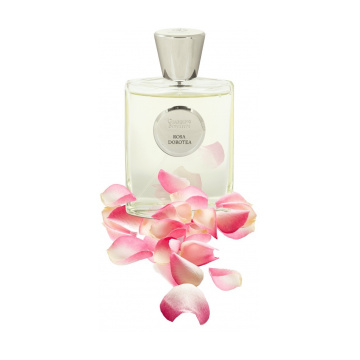 Giardino Benessere Giardino Benessere Rosa Dorotea - изглед 2