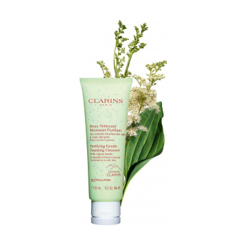 Clarins Clarins Purifying Gentle
