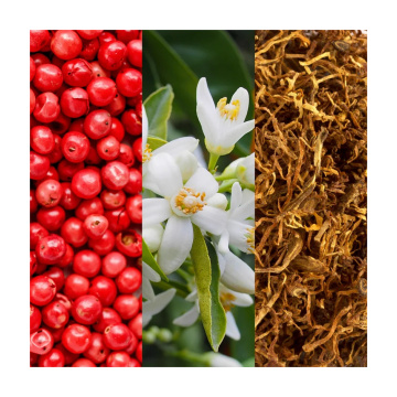 Joop! Joop! Homme Wild - изглед 3