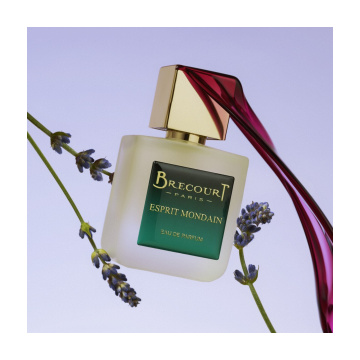 Brecourt Brecourt Esprit Mondain