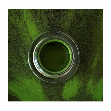 Rashidi Beauty Rashidi Beauty Aurora