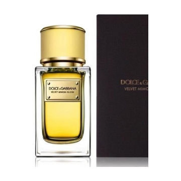 Dolce & Gabbana Dolce & Gabbana Velvet Collection Mimosa Bloom