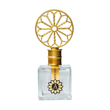 Angela Ciampagna Angela Ciampagna Ducalis